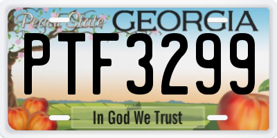GA license plate PTF3299