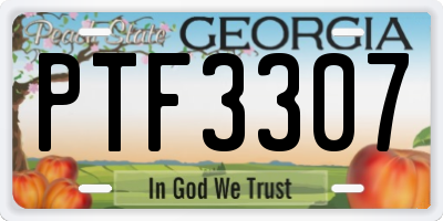 GA license plate PTF3307