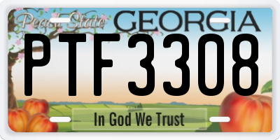 GA license plate PTF3308