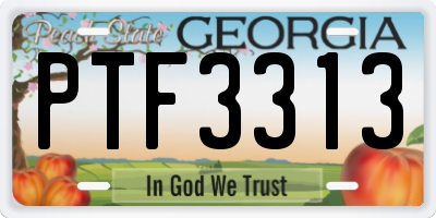 GA license plate PTF3313