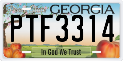 GA license plate PTF3314