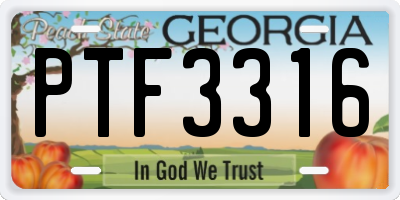 GA license plate PTF3316