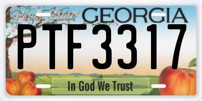 GA license plate PTF3317
