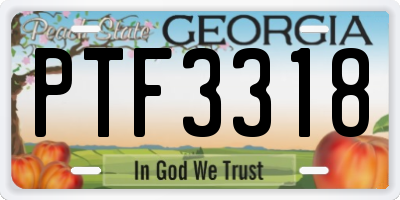 GA license plate PTF3318