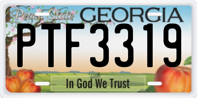GA license plate PTF3319