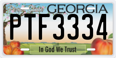 GA license plate PTF3334