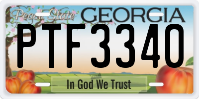GA license plate PTF3340