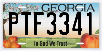 GA license plate PTF3341