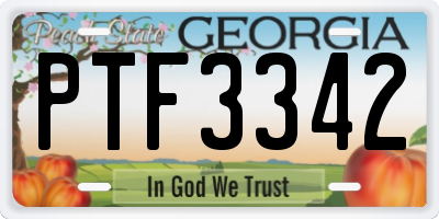 GA license plate PTF3342