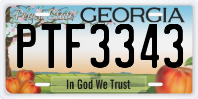 GA license plate PTF3343
