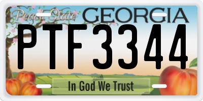 GA license plate PTF3344