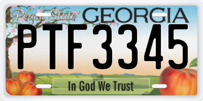 GA license plate PTF3345