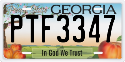 GA license plate PTF3347