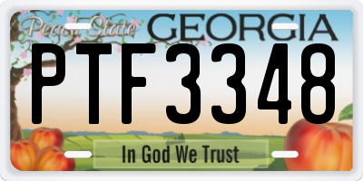 GA license plate PTF3348