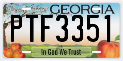 GA license plate PTF3351
