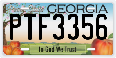 GA license plate PTF3356