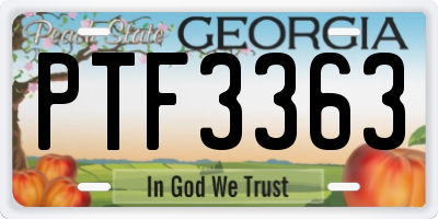 GA license plate PTF3363