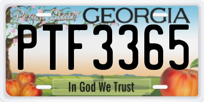 GA license plate PTF3365