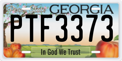GA license plate PTF3373