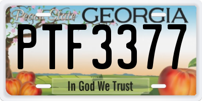 GA license plate PTF3377