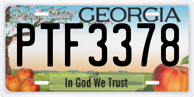 GA license plate PTF3378