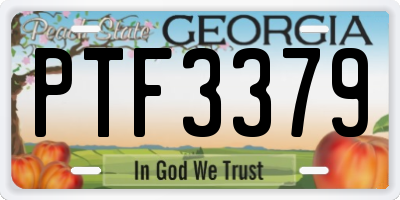 GA license plate PTF3379