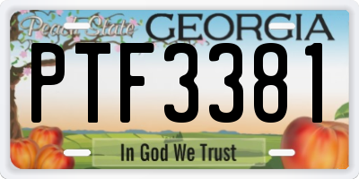 GA license plate PTF3381