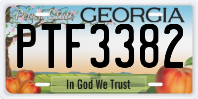 GA license plate PTF3382