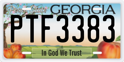 GA license plate PTF3383