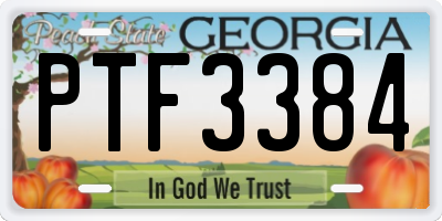 GA license plate PTF3384