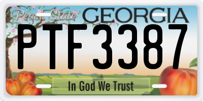 GA license plate PTF3387