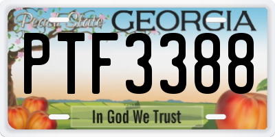 GA license plate PTF3388