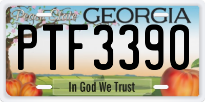GA license plate PTF3390