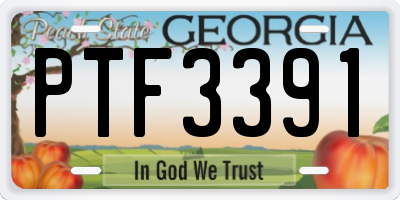 GA license plate PTF3391