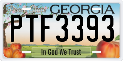 GA license plate PTF3393