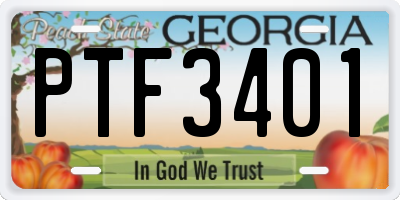 GA license plate PTF3401