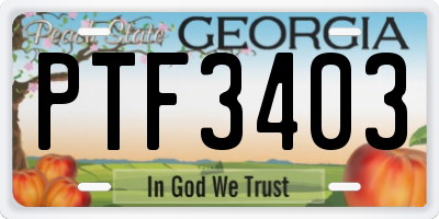 GA license plate PTF3403