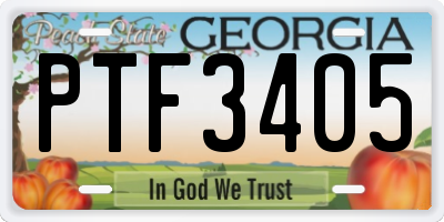 GA license plate PTF3405