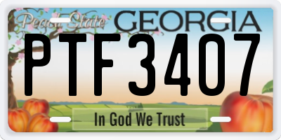 GA license plate PTF3407