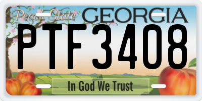 GA license plate PTF3408