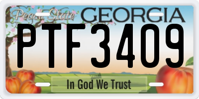 GA license plate PTF3409