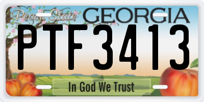 GA license plate PTF3413
