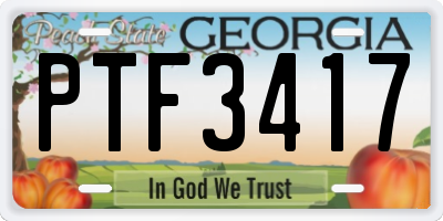 GA license plate PTF3417