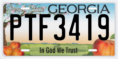 GA license plate PTF3419