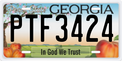 GA license plate PTF3424