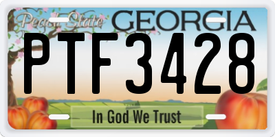 GA license plate PTF3428