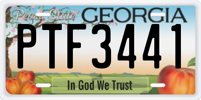 GA license plate PTF3441