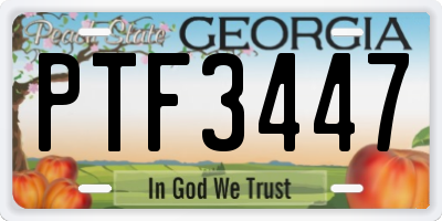GA license plate PTF3447