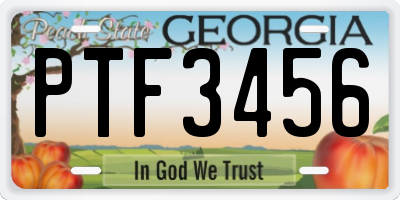 GA license plate PTF3456