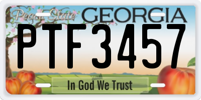 GA license plate PTF3457